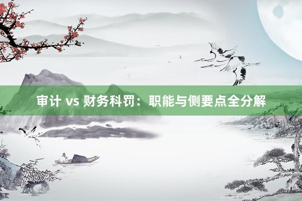 审计 vs 财务科罚：职能与侧要点全分解
